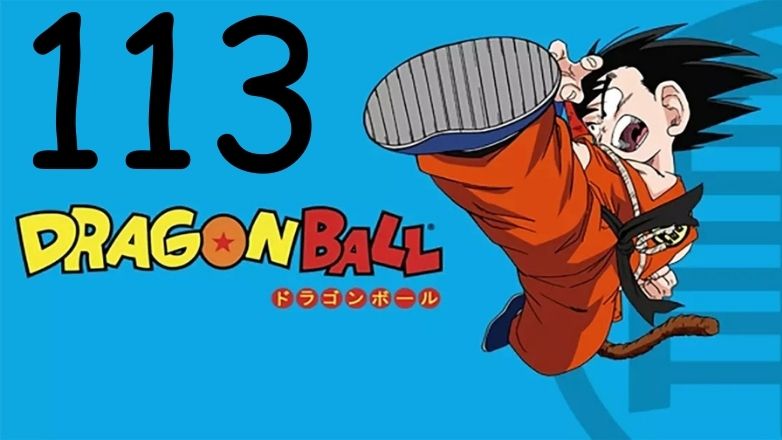 113